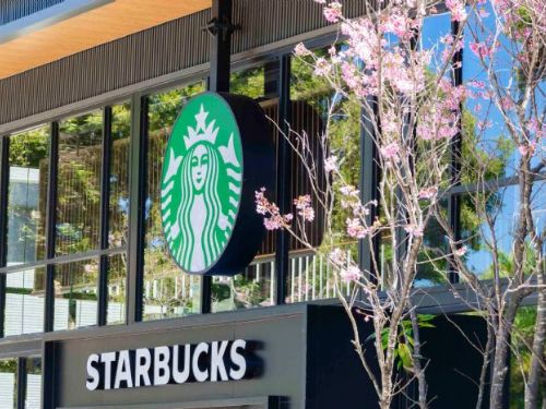 星巴克林口文化北門市浪漫開幕，走進櫻花玻璃屋感受春日咖啡時光